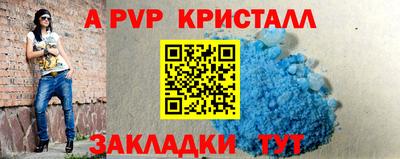 спиды Моздок