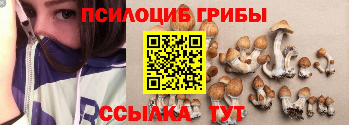 Галлюциногенные грибы Psilocybine cubensis  Псилоцибиновые грибы MAGIC MUSHROOMS  Елец  Вход с VPN 